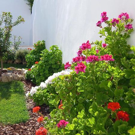 Pateo Dos Oliveira - Casa Dos Senhores เอโวรา ภายนอก รูปภาพ