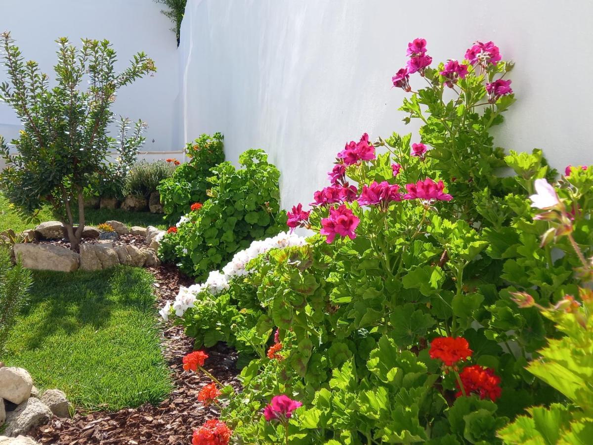 Pateo Dos Oliveira - Casa Dos Senhores เอโวรา ภายนอก รูปภาพ